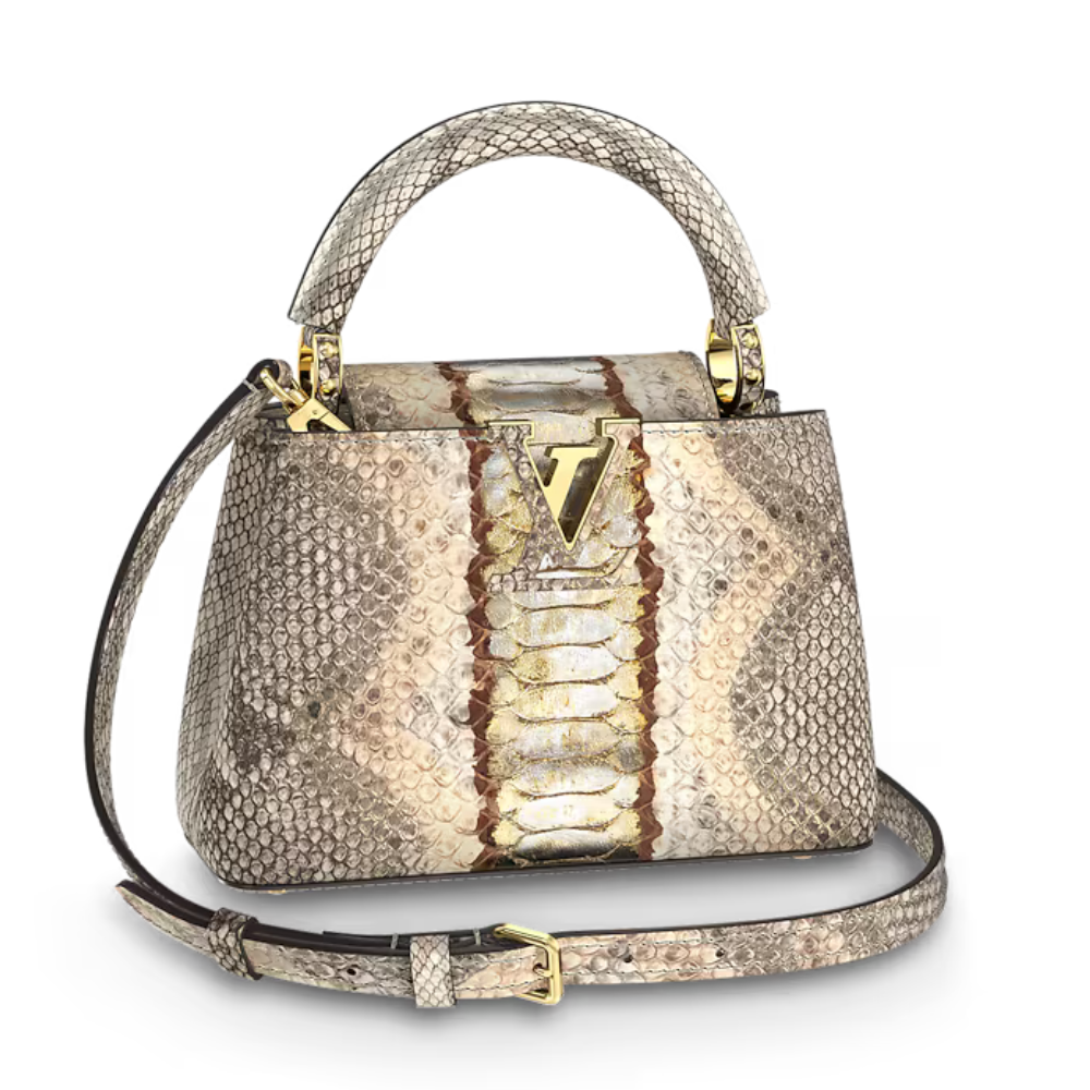 Louis Vuitton Capucines Mini Bag – Gold Silver