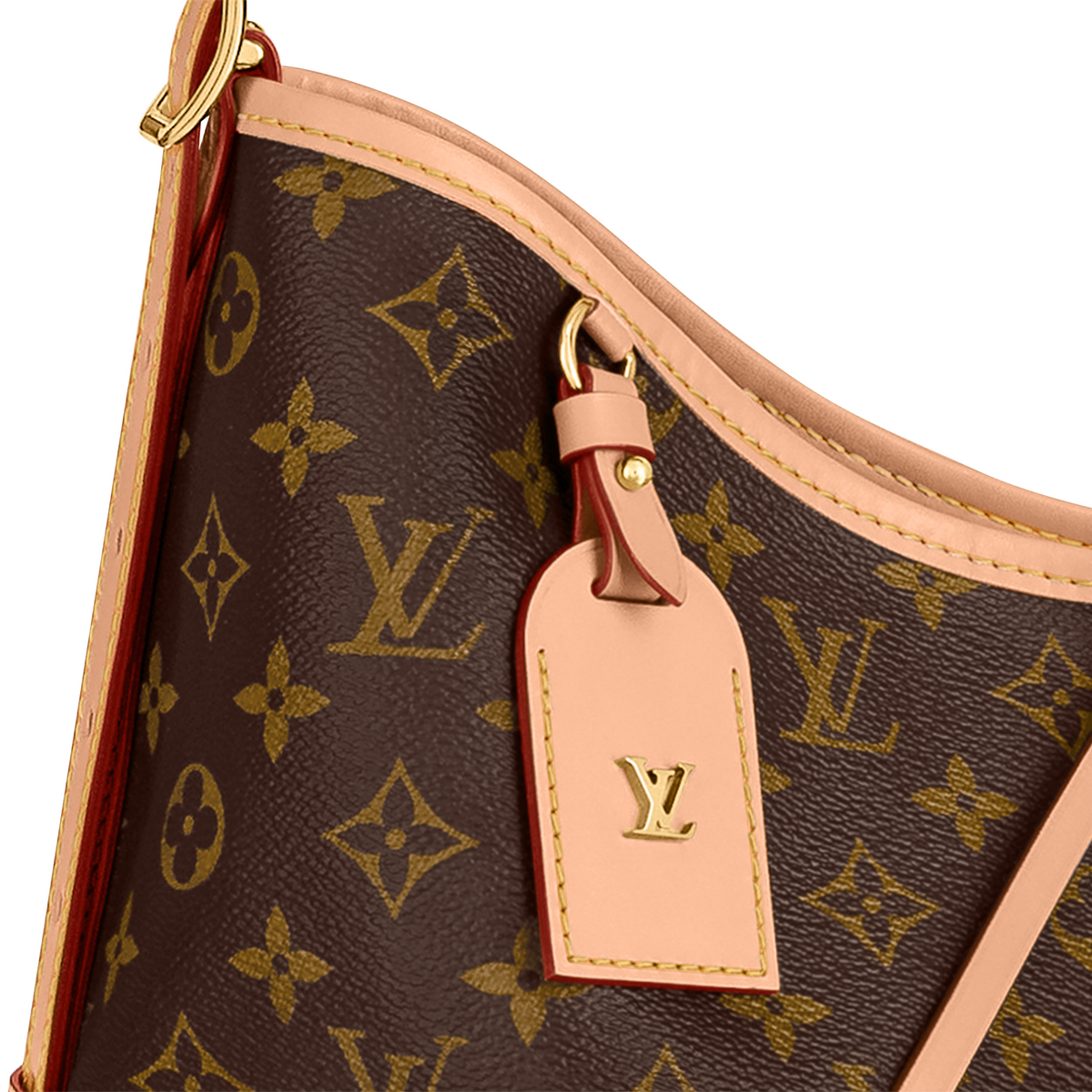 Louis Vuitton CarryAll MM Handbag - Brown