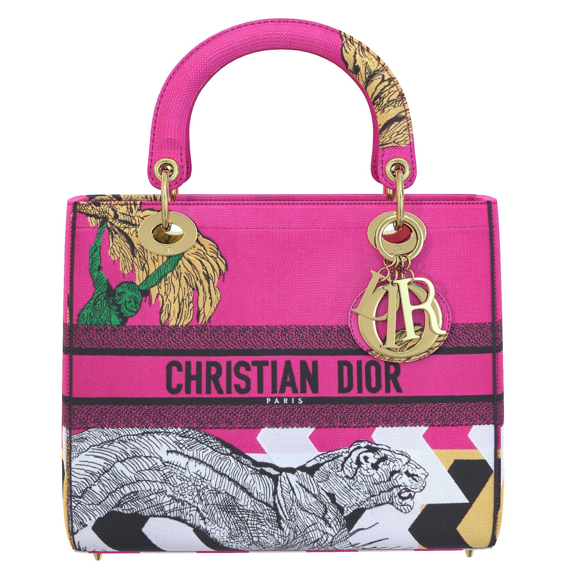 Dior Small Lady Toile de Jouy Pop Embroidery Bag - Pink