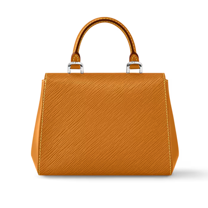 Louis Vuitton Cluny Mini Handbag - Gold Miel