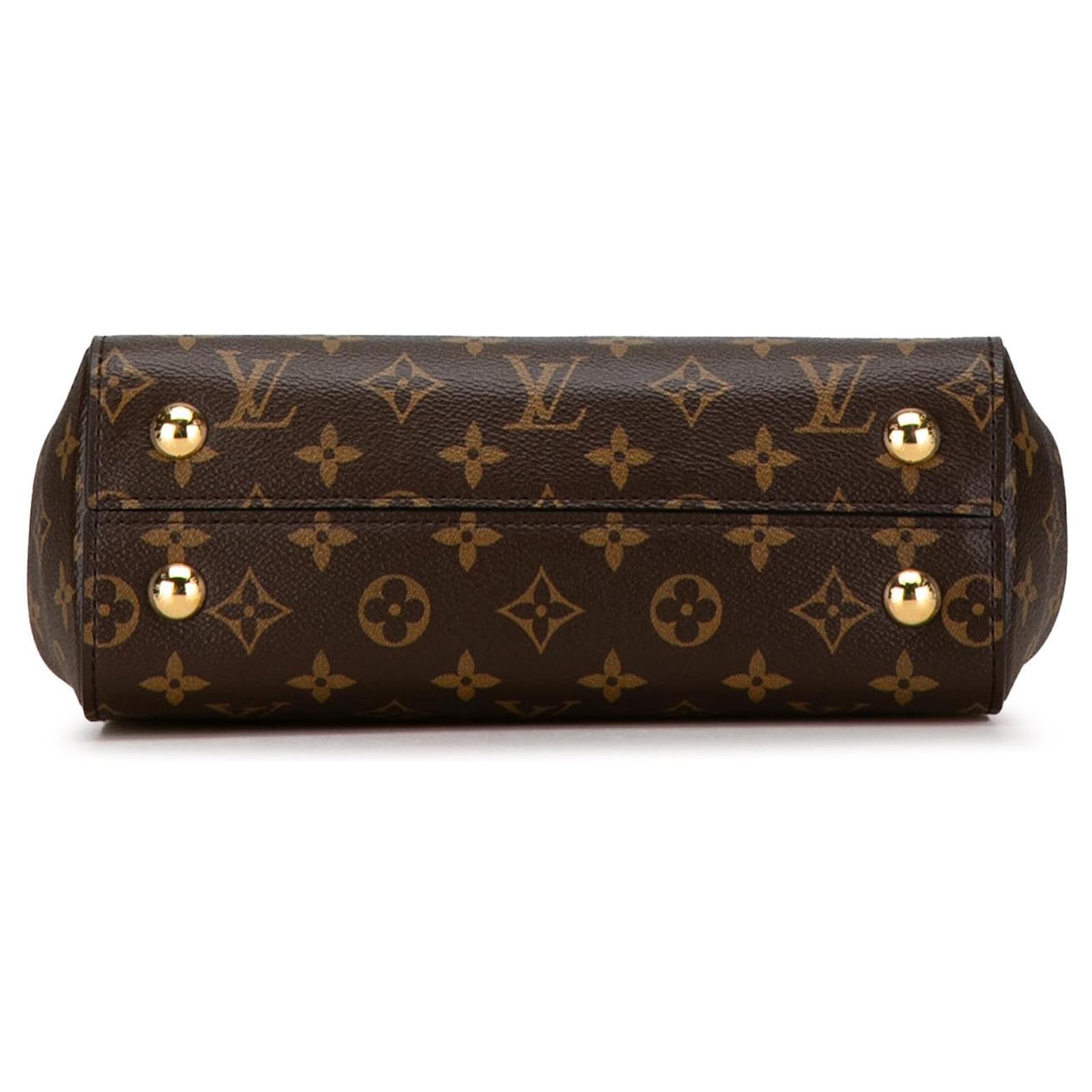 Louis Vuitton Cluny BB Monogram Handbag - Brown