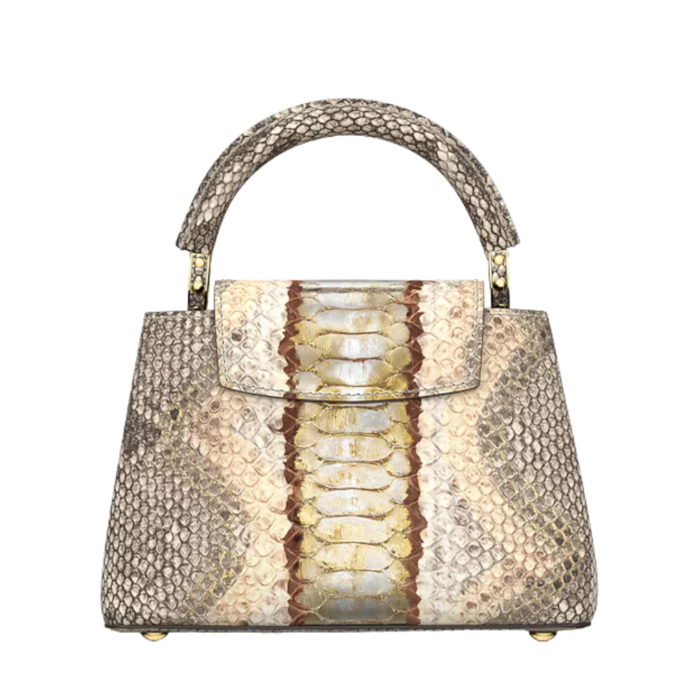 Louis Vuitton Capucines Mini Bag – Gold Silver