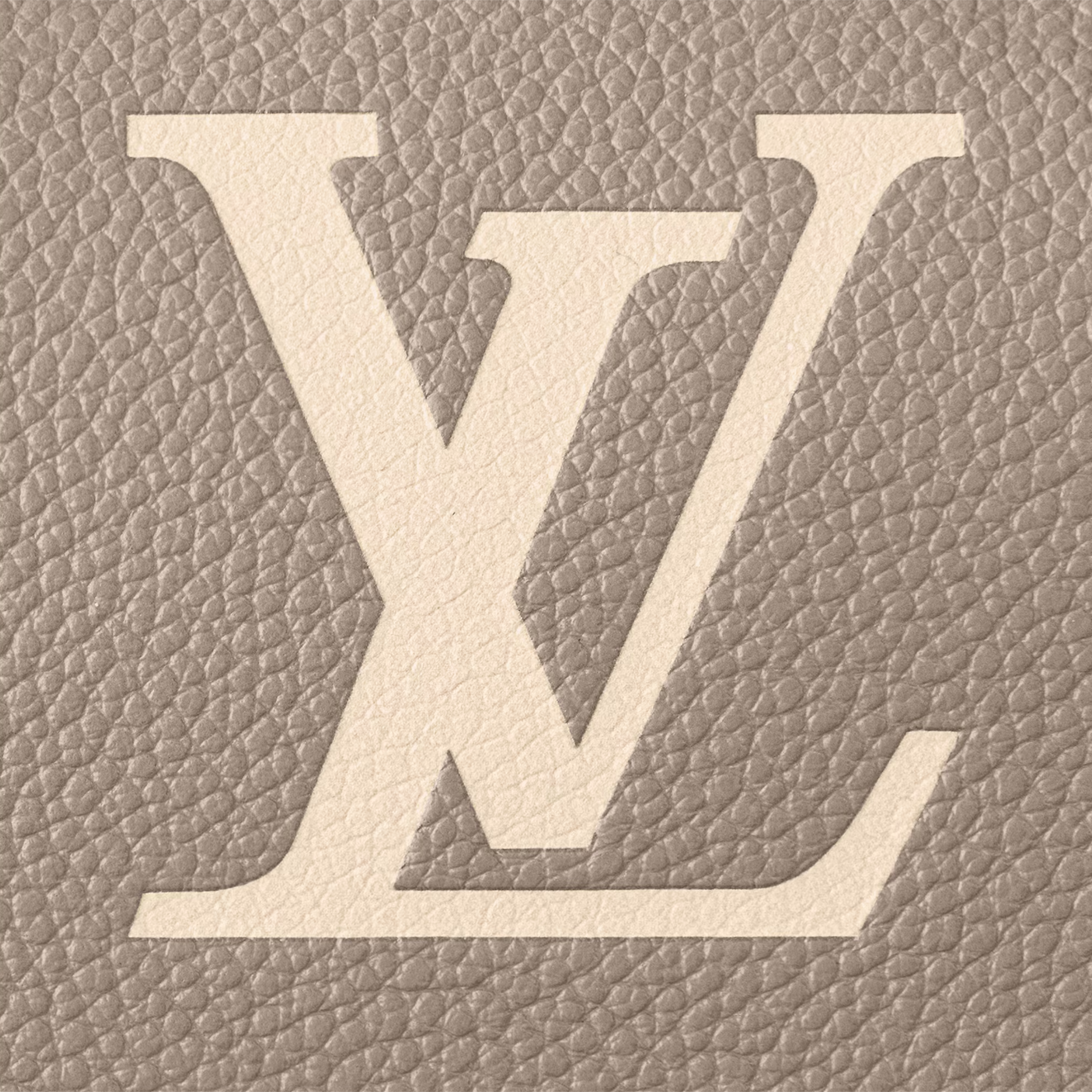 Louis Vuitton Speedy Bandoulière 20 Handbag - Tourterelle