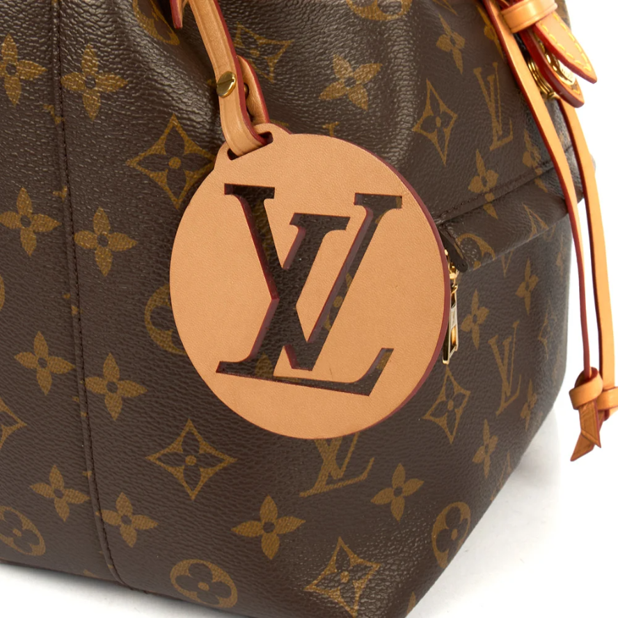 Louis Vuitton Montsouris MM Bagpack - Brown