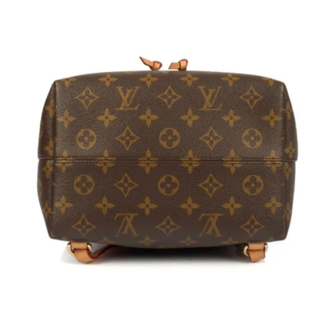 Louis Vuitton Montsouris MM Bagpack - Brown