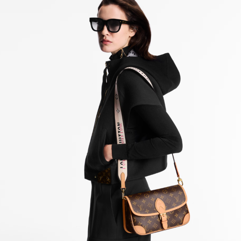 Louis Vuitton Diane Shoulder Bag - Brown