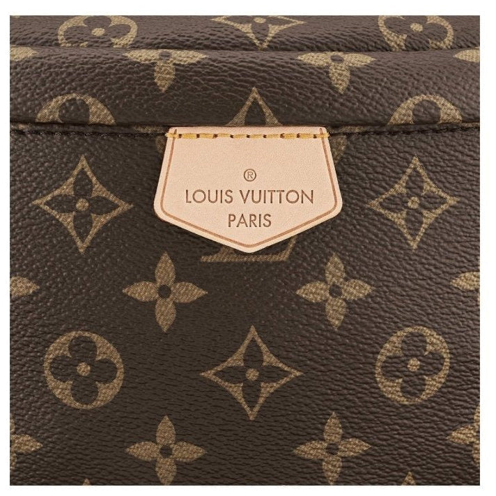 Louis Vuitton Monogram Canvas Crossbody Bumbag – Brown