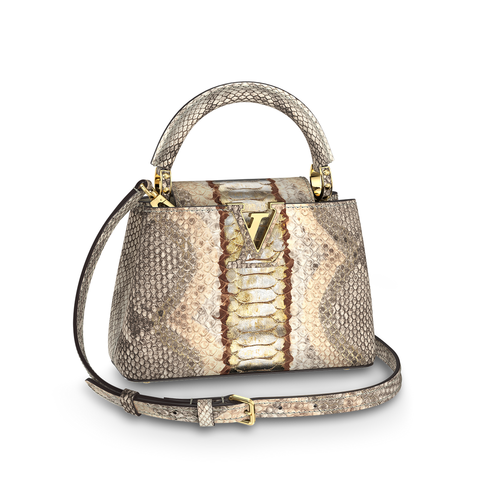 Louis Vuitton Capucines Mini Bag – Gold Silver