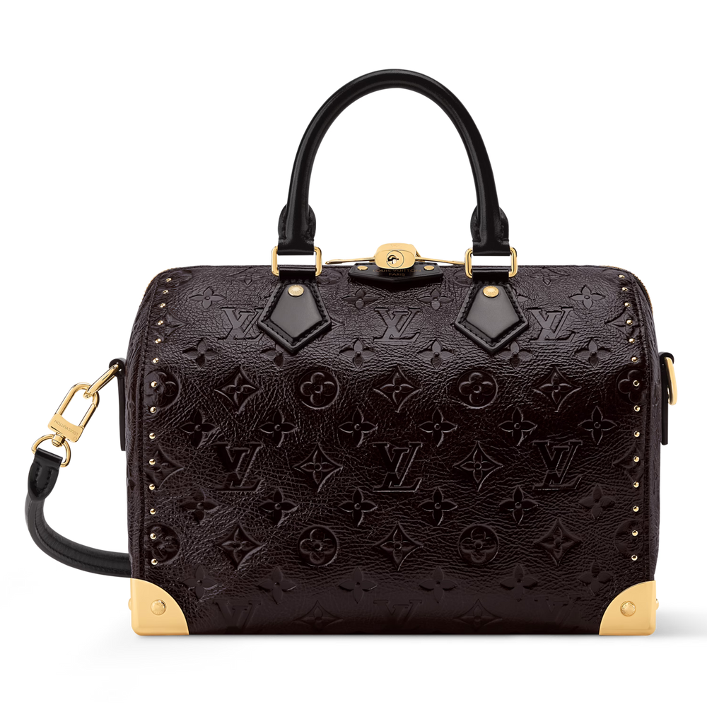 Louis Vuitton Calfskin Leather Speedy Trunk 25 Handbag – Acajou Black