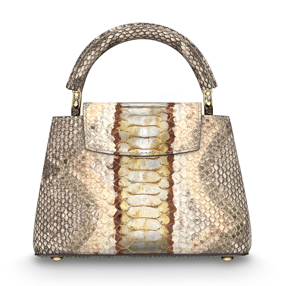 Louis Vuitton Capucines Mini Bag – Gold Silver
