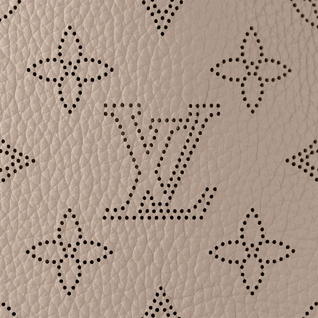 Louis Vuitton Carmel Hobo Bag - Galet