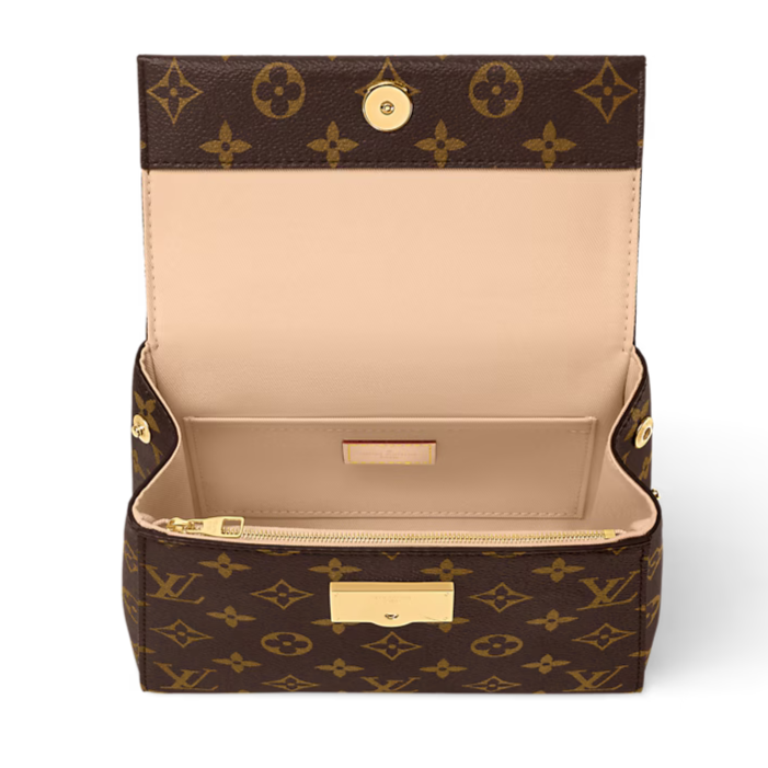 Louis Vuitton Cluny Mini Handbag - Brown