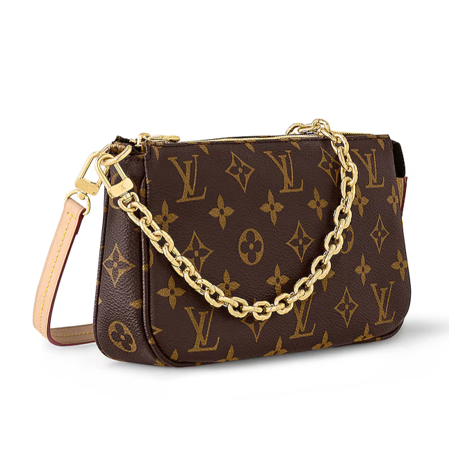 Louis Vuitton Monogram Canvas Pochette Accessoires - Dark Brown