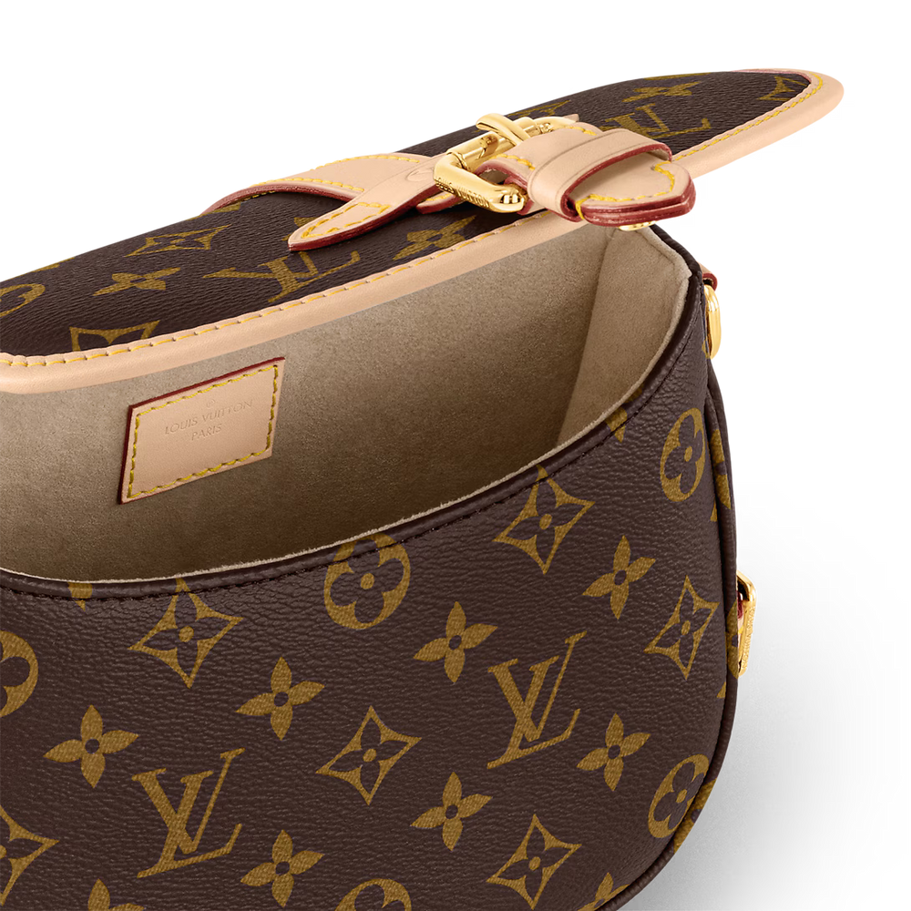 Louis Vuitton Saumur BB Handbag - Brown