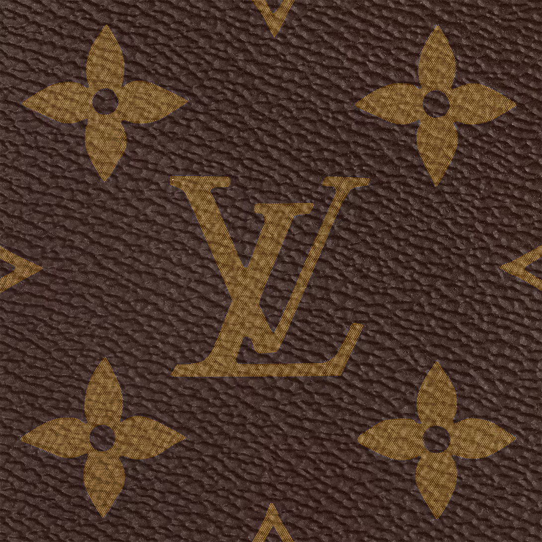 Louis Vuitton Speedy Bandoulière 20 Handbag - Brown