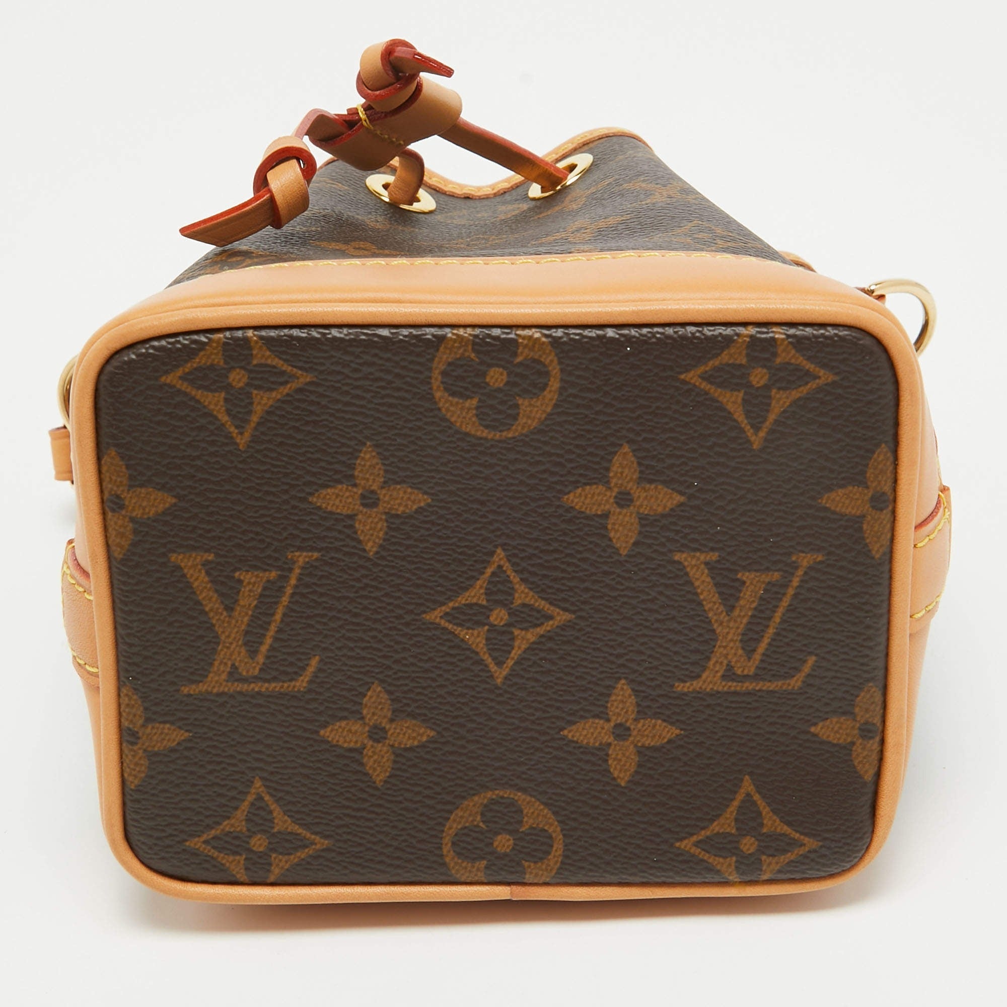 Louis Vuitton Nano Noé Bag - Brown