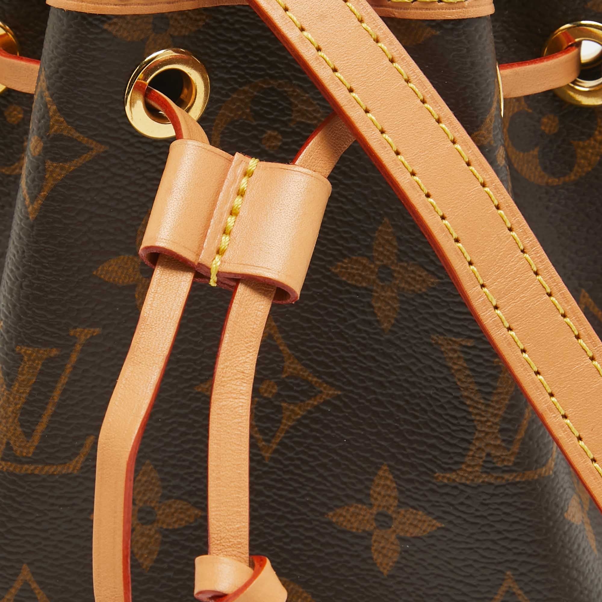 Louis Vuitton Nano Noé Bag - Brown